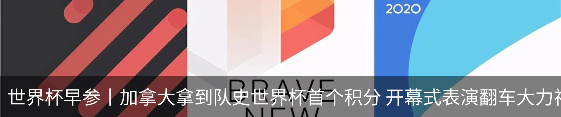 最新动态