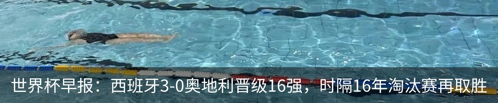 最新动态