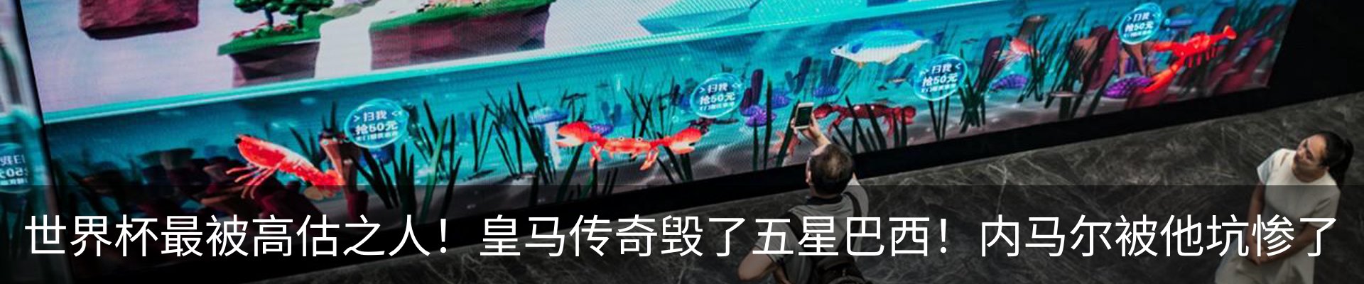 最新动态