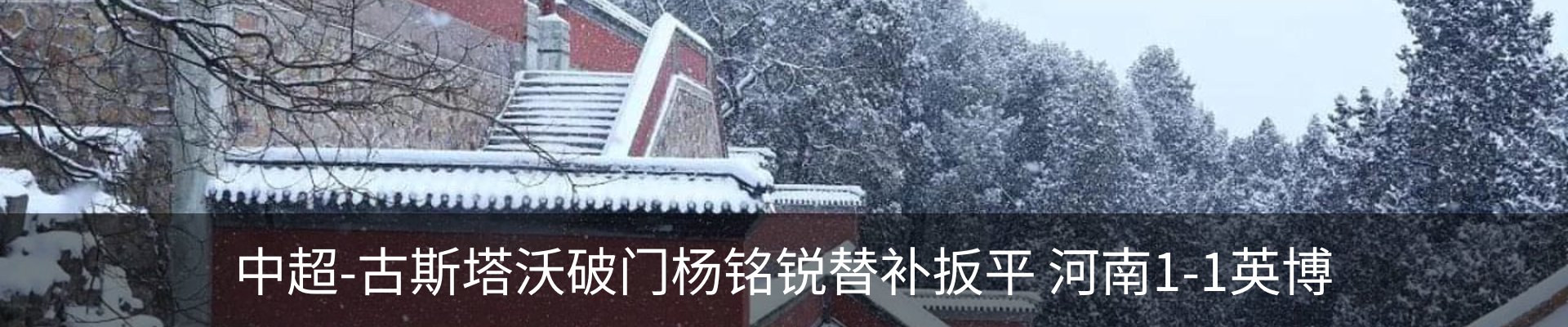 最新动态