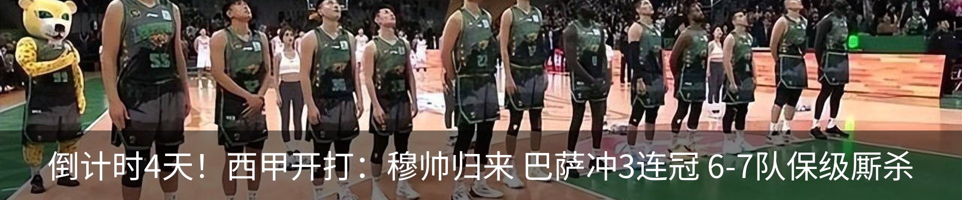 最新动态
