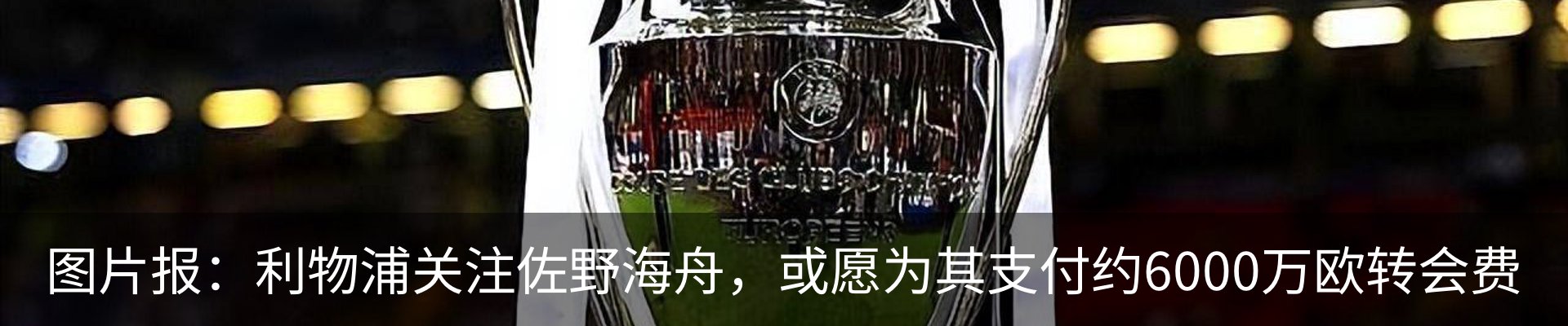 最新动态