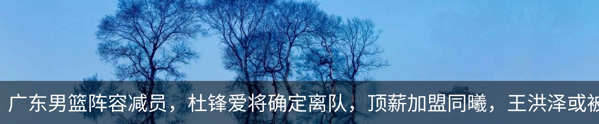 最新动态