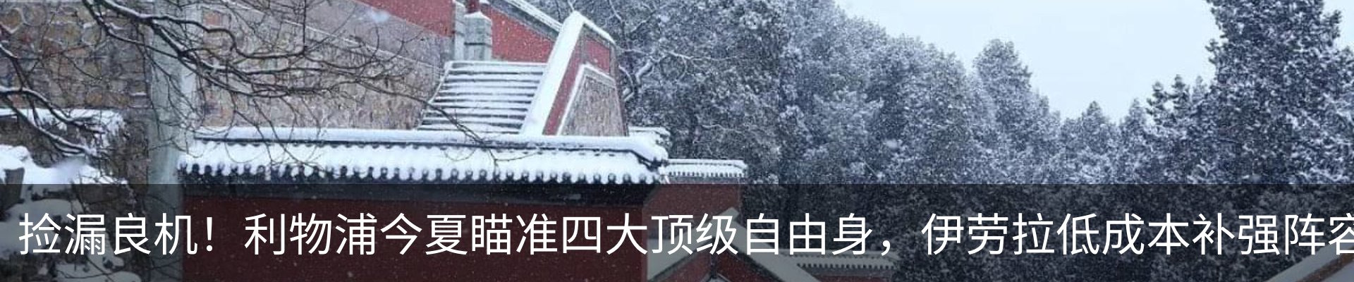 最新动态