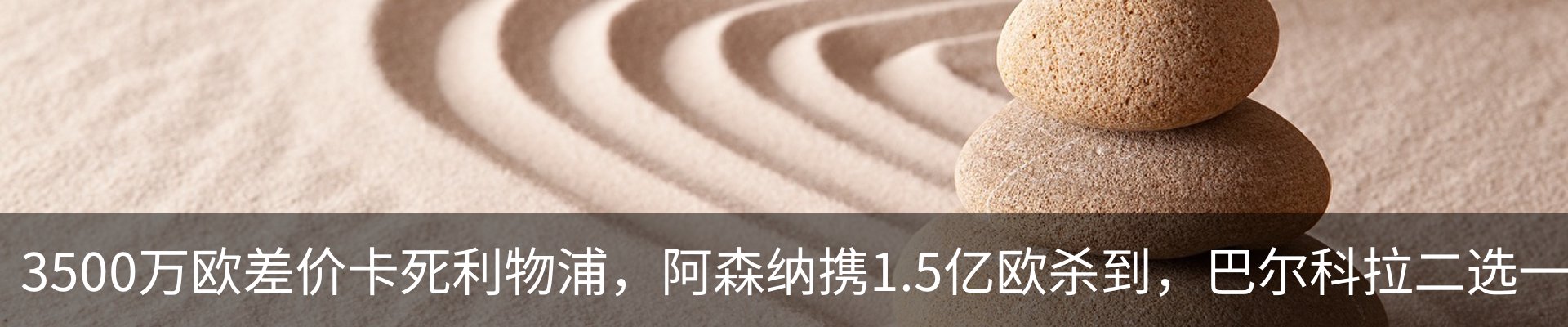 最新动态