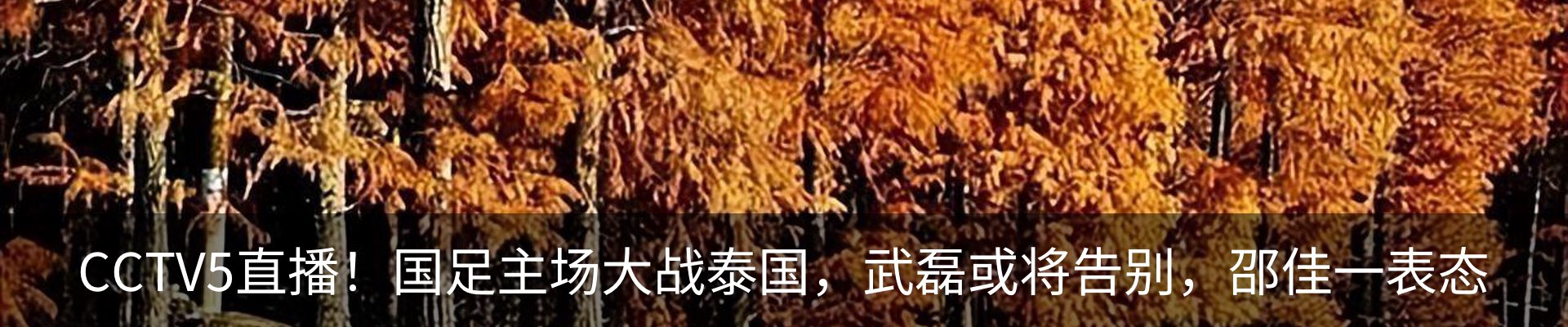 最新动态
